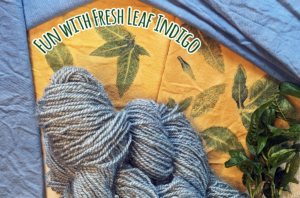 Natural Dyeing: Fun with fresh leaf indigo